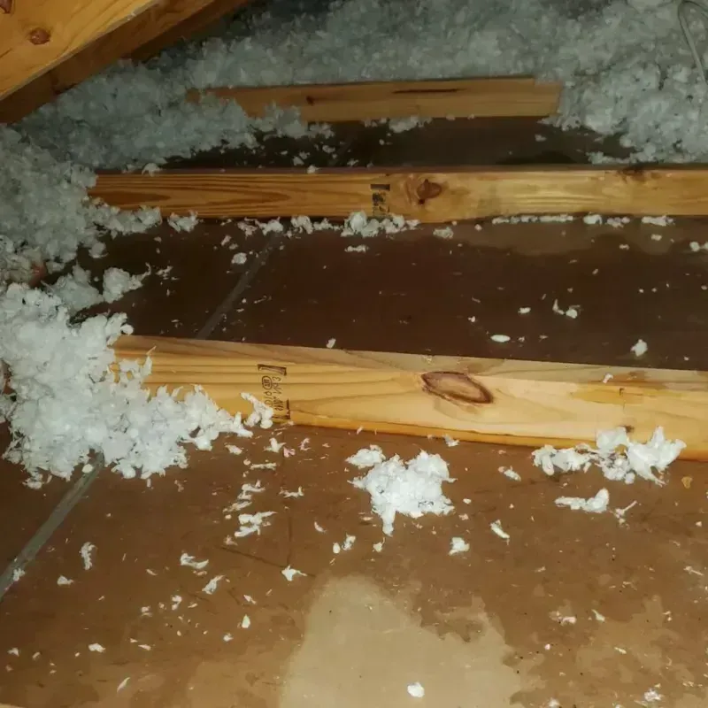 Attic Water Damage in Sandpoint, ID