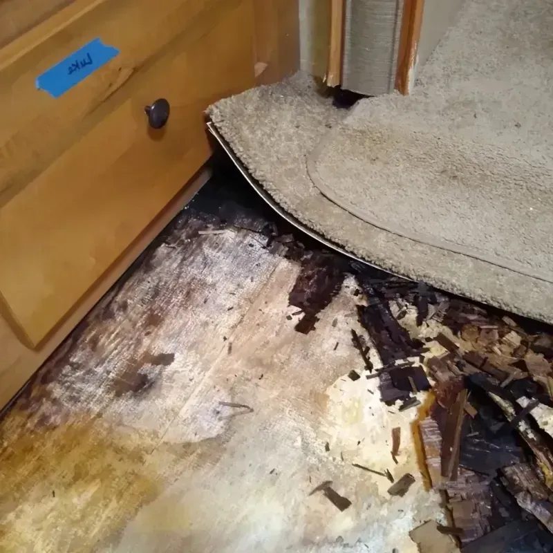 Wood Floor Water Damage in Sandpoint, ID